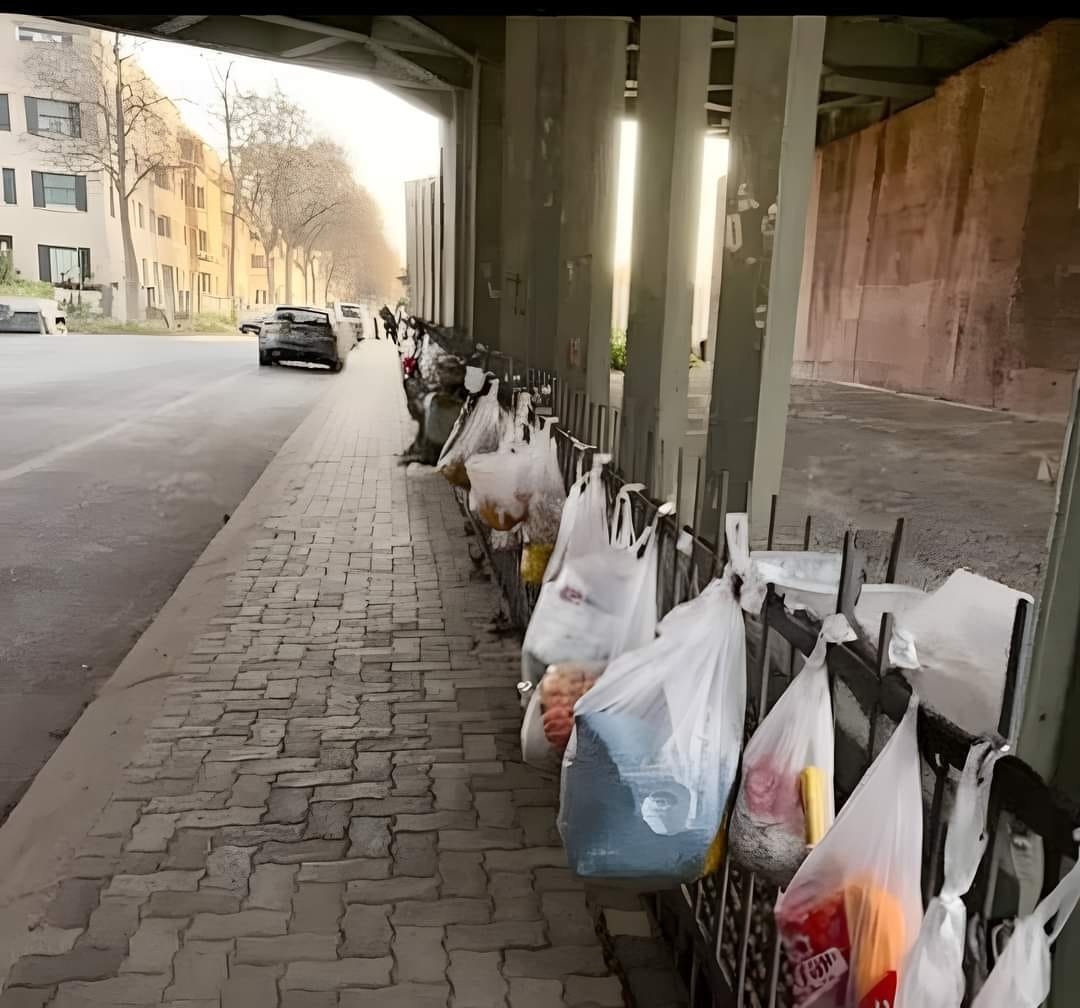 295 Million People Face Acute Hunger: What the 2025 Global Food Crisis Report Reveals